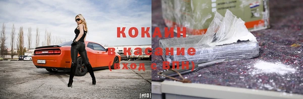 прущие грибы Рославль