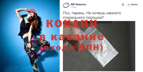 прущие грибы Рославль