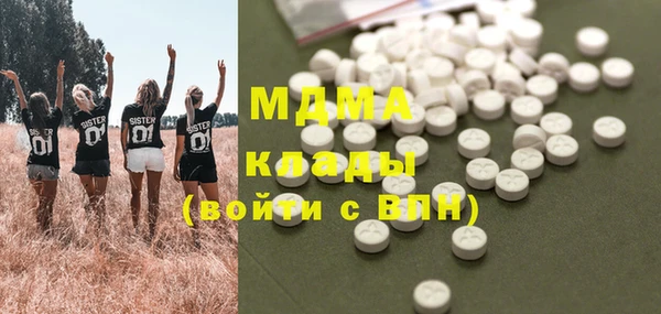 прущие грибы Рославль