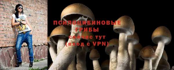 марки lsd Гатчина