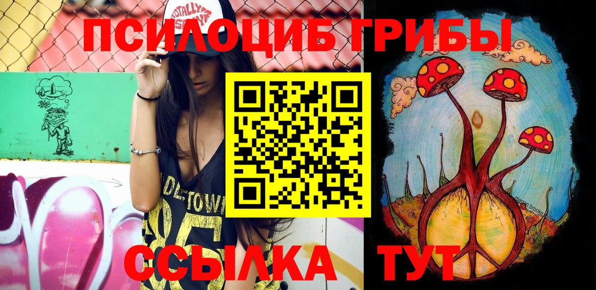 Галлюциногенные грибы мицелий Губкин