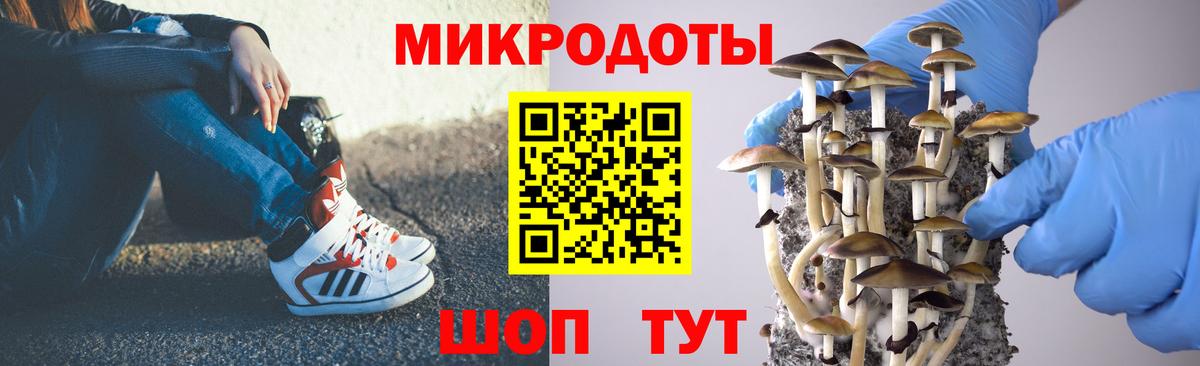 Псилоцибиновые грибы GOLDEN TEACHER  Вход с VPN  Губкин  где можно купить   Галлюциногенные грибы GOLDEN TEACHER 